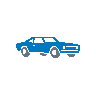 Muscle Cars