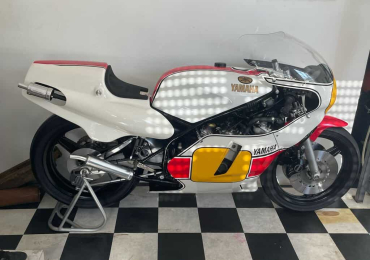1981 Yamaha TZ500
